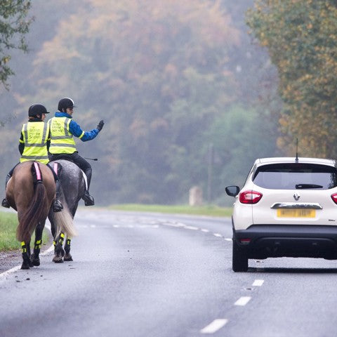 A car safely passing a pair of horses on the road