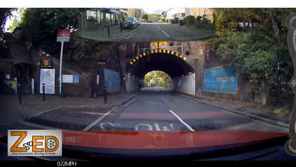 Driving Test Review (6665xxxx010)